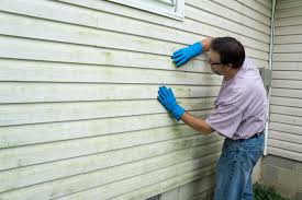 Best Custom Siding Design  in Cadillac, MI